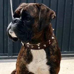 Meet your Posher, Rosa